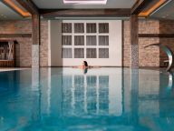 Chalet-apartment Wildkogelresorts Type IIa-3