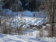 Chalet-apartment Villarenger Le Petit Chardon-11