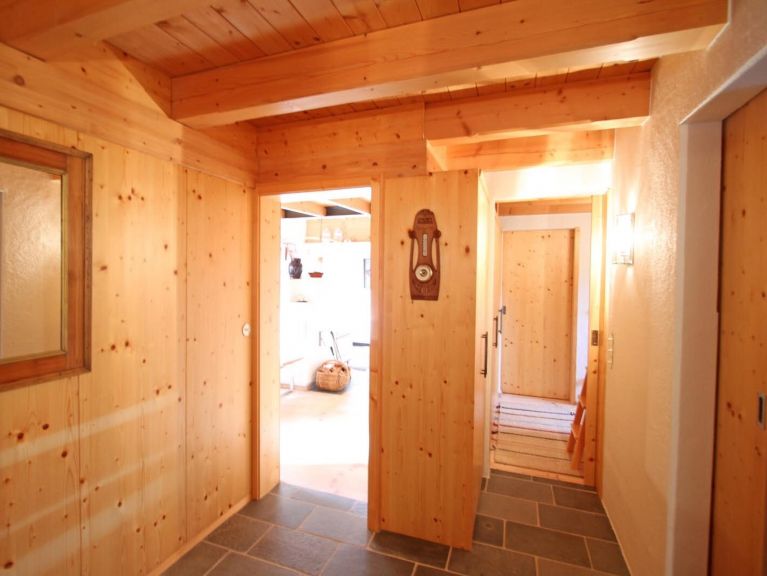 Chalet-apartment Hajenius