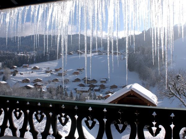 Chalet-apartment Fleur des Alpes Ancolie