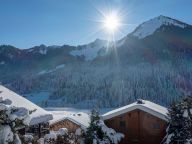 Chalet Ferme du Rys with outdoor whirlpool, Sunday to Sunday-26