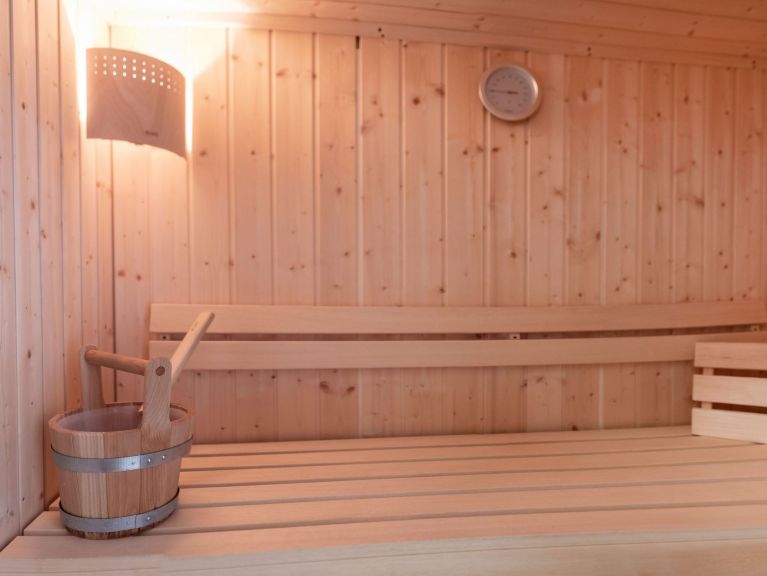 Apartment Gerlos Alpine Estate Type 2b