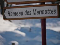 Chalet Le Hameau des Marmottes with family room and sauna-65