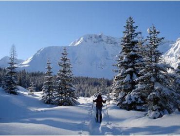 Ski village: Rauris-1