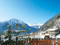 Chalet du Merle with private sauna-9