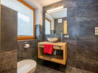 Chalet-apartment Alps Zillertal-13