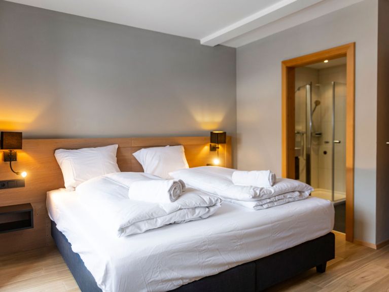 Apartment Residence Zillertal Type C3