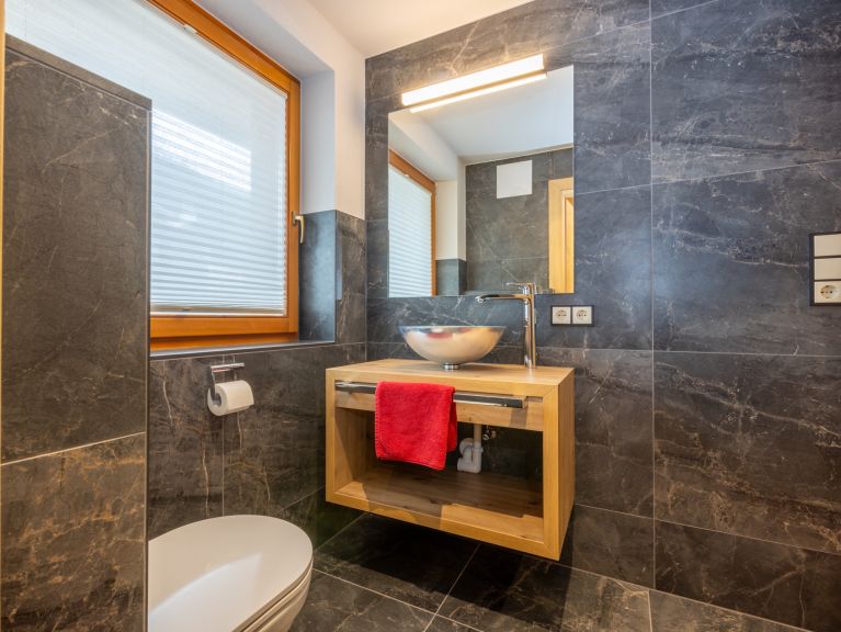 Chalet-apartment Alps Zillertal