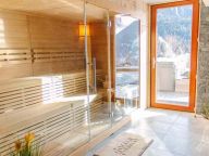 Chalet Saskia with sauna and outdoor whirlpool-38