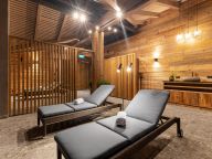 Chalet-apartment Das Neukirchen Type 1a-53