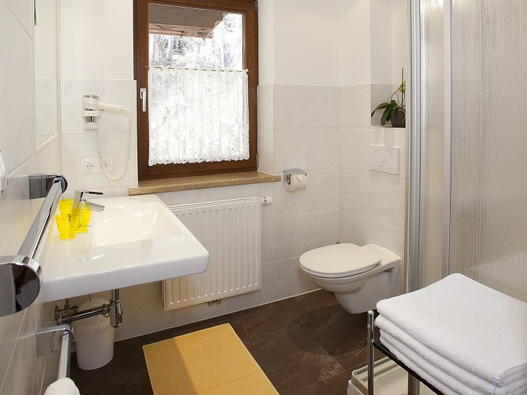 Apartment Alpin Grieskogel