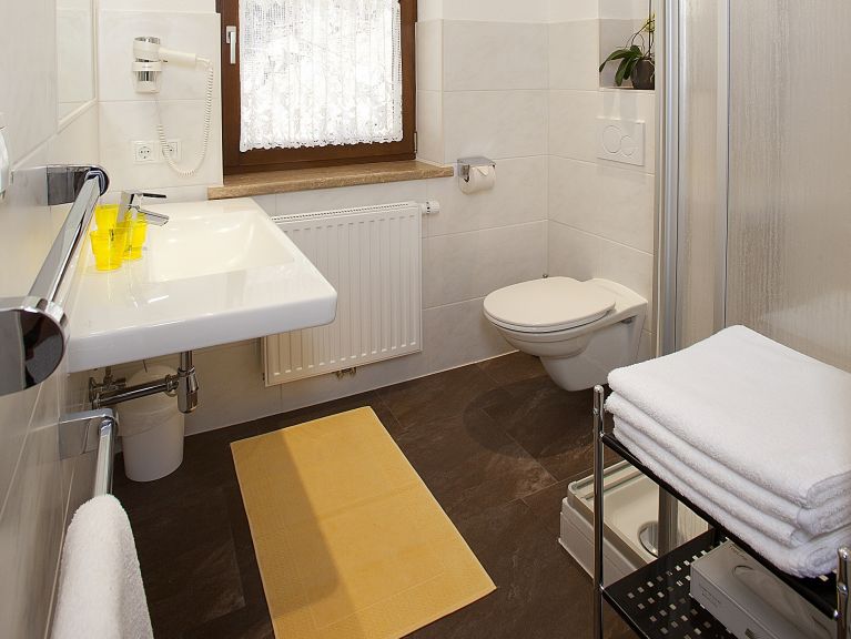 Apartment Alpin Nederkogel