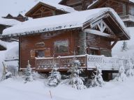 Chalet Le Hameau des Marmottes with family room and sauna-59