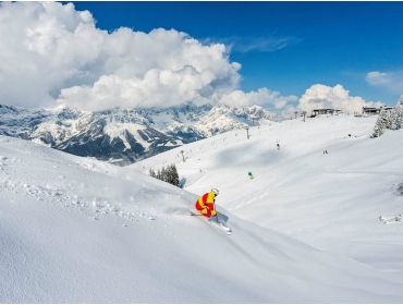 Ski village Child-friendly winter-sport village; perfect for beginners-5