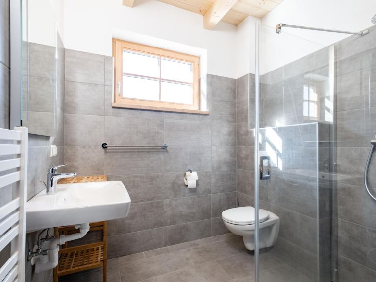 Chalet Riesneralm Steier Hütte