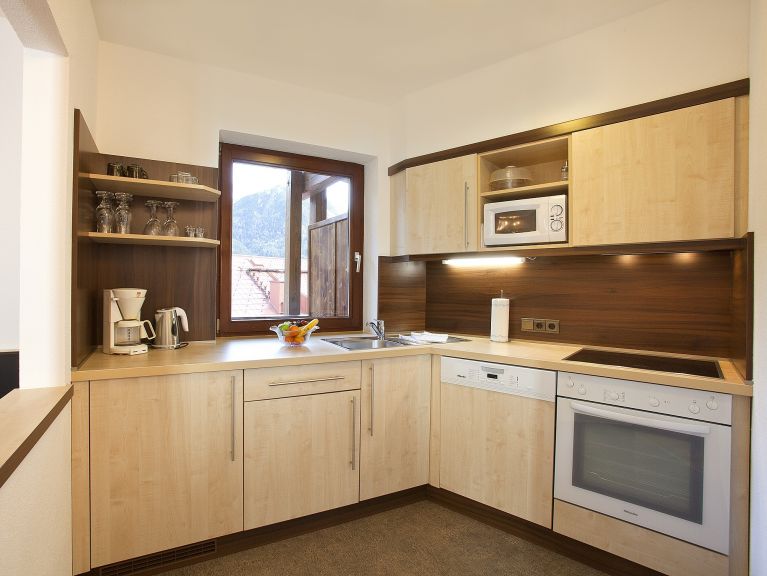 Apartment Alpin Rotkogel