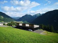 Chalet du Saix with private swimming pool-21