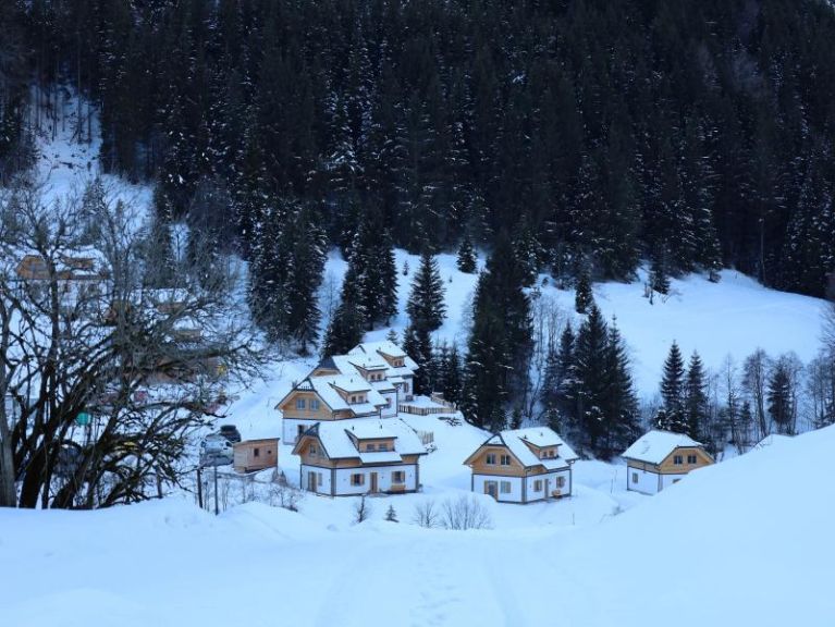 Chalet Riesneralm Hestia