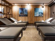 Chalet-apartment Das Neukirchen Type 1a-51