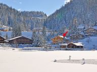Chalet Vonnes with private sauna-20