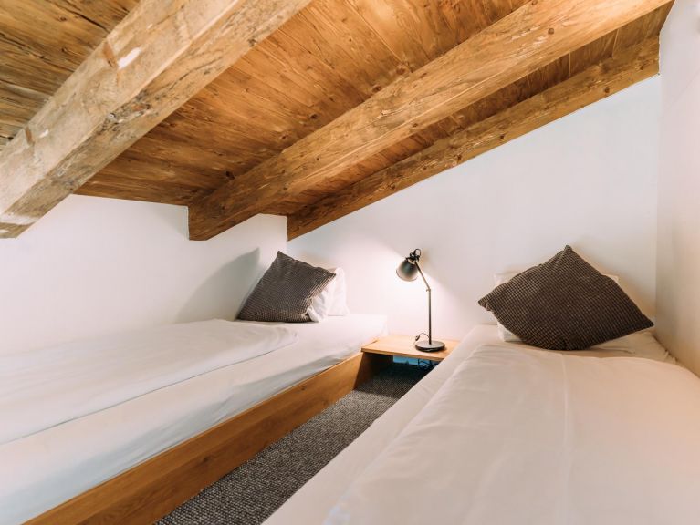 Chalet-apartment Tauern Lodge