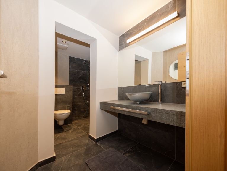 Chalet-apartment Alps Zillertal