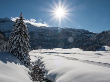 Ski village Untertauern