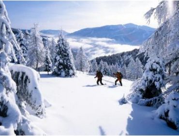 Ski village Ski village with spa retreat, apres-ski and neat slopes-3