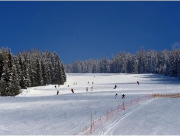 Ski village Small, quiet winter-sport village, nearby several ski areas-2