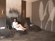 Chalet-apartment AlpenParks Rehrenberg Alpine-16