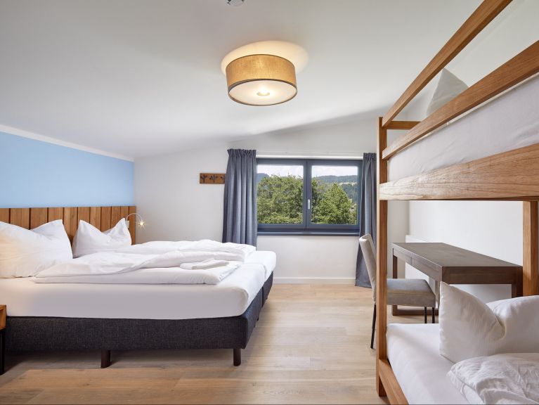Apartment Kristall Plaza Niederau Penthouse with fire place and private sauna