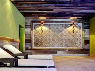 Chalet-apartment Wildkogelresorts Penthouse Type V-15