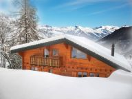 Chalet Harmonie with sauna and outside-whirlpool-15