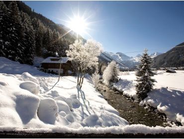 Ski village: Finkenberg (near Mayrhofen)-1