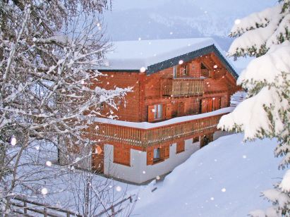 Chalet Harmonie with sauna and outside-whirlpool-1