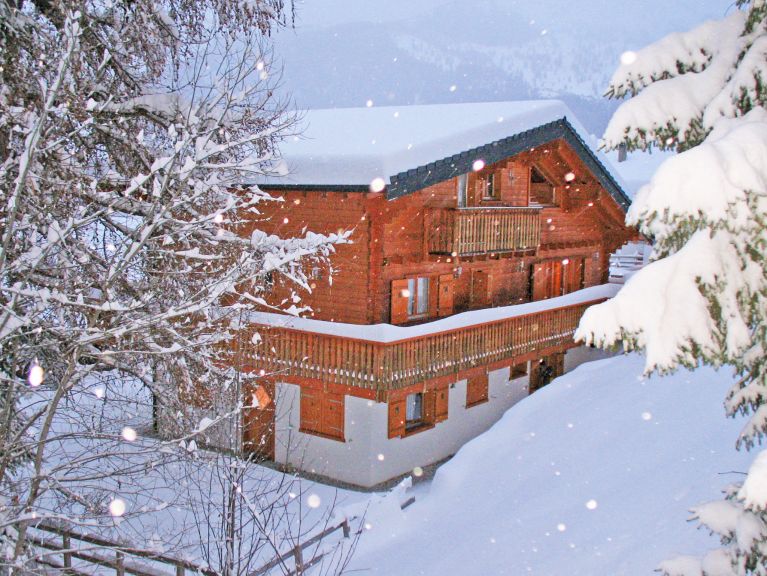 Chalet Harmonie with sauna and outside-whirlpool