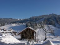 Chalet-apartment Fleur des Alpes Edelweiss-7