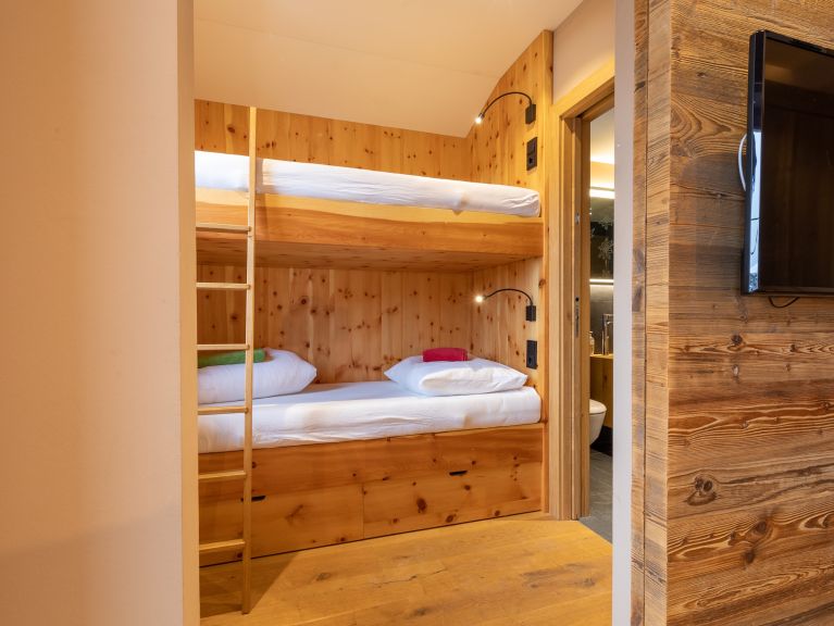 Chalet-apartment Alps Zillertal