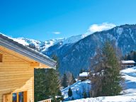 Chalet Chaud with private sauna-13