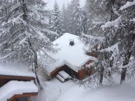 Chalet De Vallandry Le Vent en Poupe with outdoor sauna-25