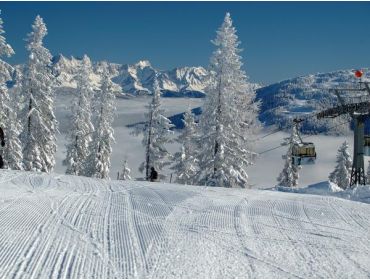 Ski village Cosy winter sport village at a central location in Sportwelt Ski Amadé-4