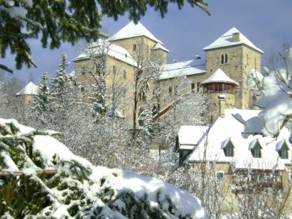 Castle Schloss Fischhorn (flexibele aankomst / excl. skipas) Opal Sunday to Sunday-0