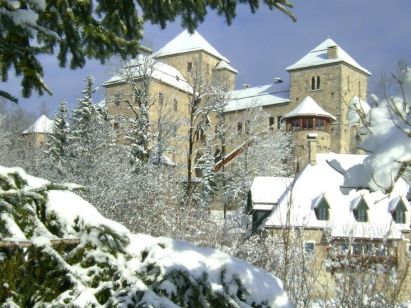 Castle Schloss am See Fischhorn Combination of 6 apartments-1