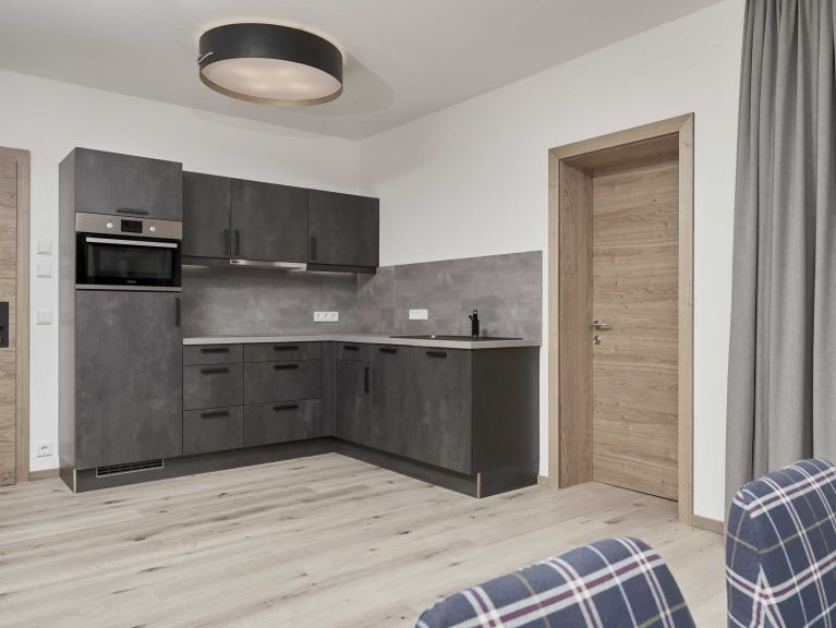 Chalet-apartment The Peak Wallis