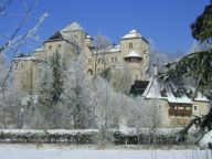 Castle Schloss am See Fischhorn Combination of 6 apartments-24