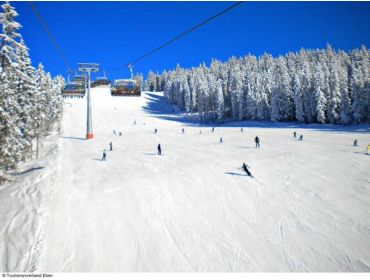 Ski village Small, quiet winter-sport village, nearby several ski areas-6