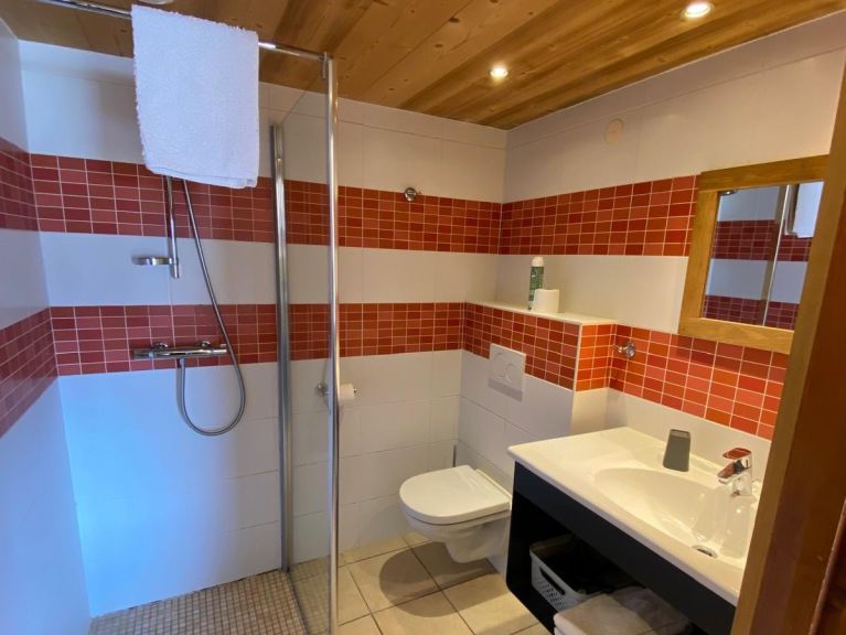 Chalet-apartment Fleur des Alpes Ancolie
