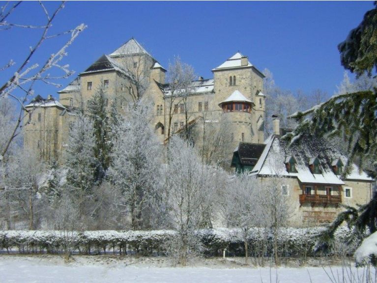 Castle Schloss Fischhorn (incl. catering, flexibele aankomst) Combination of 6 apartments