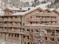 Chalet-apartment AlpenParks Hochkönig-11