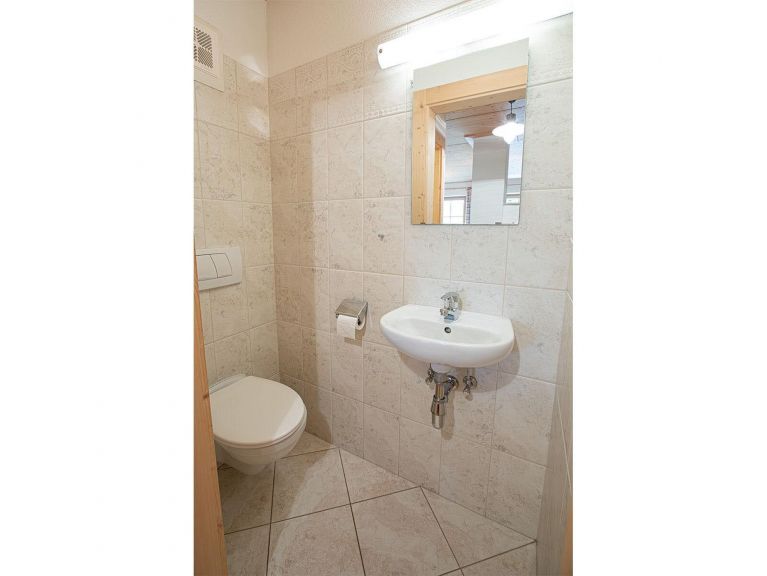 Chalet-apartment Bergfrieden 4-room